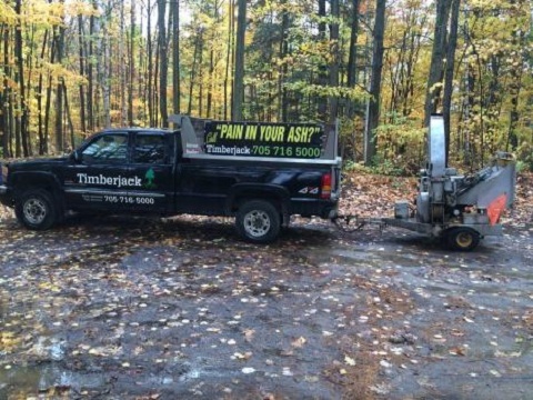  New Album of Timberjack Tree Service 65 Cedar Pointe Drive - Photo 2 of 2