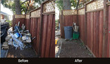 Profile Photos of Junk Removal Cleanouts