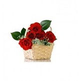  Get The Best Flowers and Cakes for All Special Occasions from Flowersn 16 Dr. Sarat Banerjee Road, 