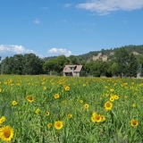 Pinnacle Property of Montana - Real Estate Agency