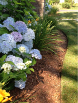 Landscaping Services Cape Cod