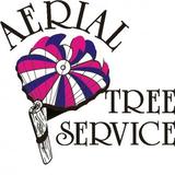  Aerial Tree Service 8682 Trans Canada Highway Suite 5 