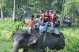 Wildlife Adventure Resort - Chitwan National Park Nepal  of Wildlife Adventure Resort
