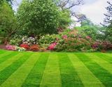 Profile Photos of Picture Perfect Lawn Maintenance