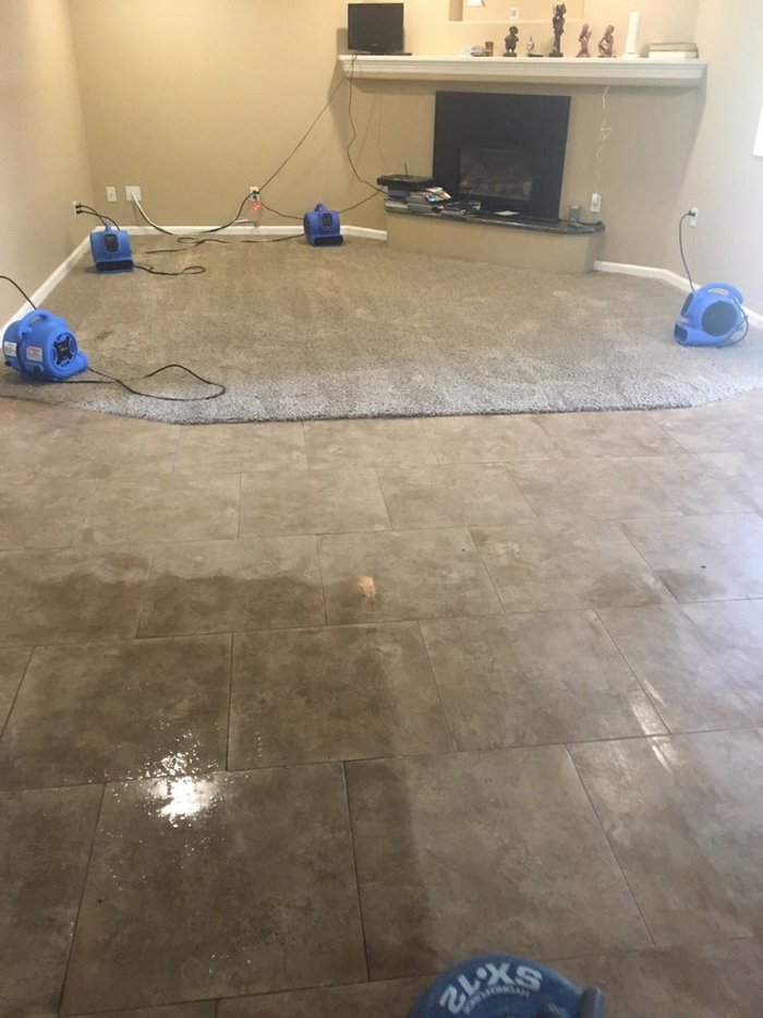  New Album of All-American Carpet Care 1343 Gehring Ct. - Photo 4 of 7
