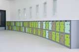 lockers installed in an academy Storage Design Limited Primrose Hill 