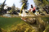 Fly Fishing Track & Tackle - Discover the best fishing and hunting trips. 45 Sheppard Ave. 