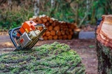 Profile Photos of Evergreen landscape care and tree services