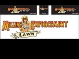  Mullins Lawn Enforcement LLC 332 Tennessee 434 