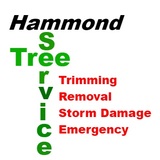 This is the image description Hammond Tree Service 4519 Oak Avenue 