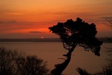 Birdsong,St Ives_Sunrise
