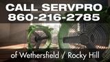 Profile Photos of SERVPRO of Wethersfield / Rocky Hill