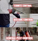 Get the best Pest Control Services by Maintdrop as they provide well equipped & trained team to dismiss all kinds of pests. Contact: maintdrop.com