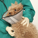 New Album of Wagmore Veterinary Care
