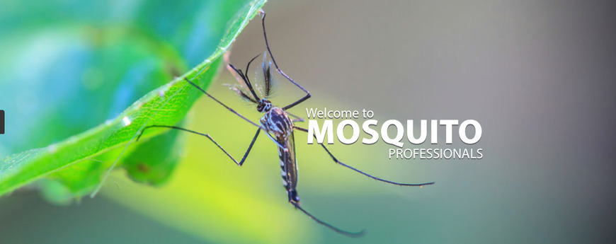  Pricelists of Mosquito Professionals Inc. 4546 West Tuscarora Road - Photo 2 of 2