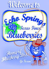 Profile Photos of Echo Springs Blueberry Farm