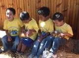 Quality time with animals is very special to children, Ottery Barnyard, Ottery, cape town