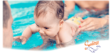 Parent and Baby Swimming Swalings Swimming Academy Limited PO Box 4596, Poole 