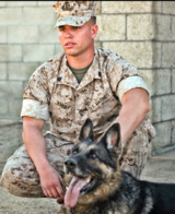 Profile Photos of Remarkable K9