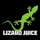 Lizard Juice Dunedin Lizard Juice Vape - Dunedin 1348 Main St 
