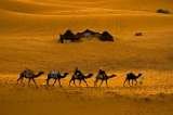 Profile Photos of Marrakech to Fes | Desert Tours | Merzouga Camel Treks