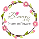 Blooms Only Shop No. A4, Near Seva Vikas Co. Op. Bank 