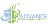 Advance pest Control Bristol, Bristol