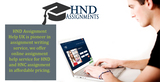 Profile Photos of HND Assignment Help