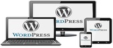 Wordpress development
