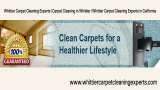 Profile Photos of Green Choice Carpet Cleaning