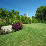 Profile Photos of R & N Lawn Service & Landscaping LLC