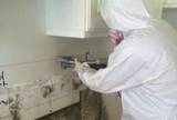 New Album of iMold US Water Damage & Mold Removal Service