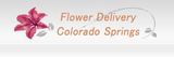 New Album of Same Day Flower Delivery Colorado Springs