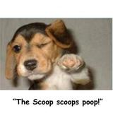 Profile Photos of The Scoop Pet Waste Management