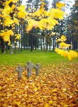 Three tombstone crosses and tree with yellow leaves. Cemetery of German soldiers in Toila, Estonia. Autumn.