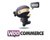 WooPOS Features of WooCommerce POS - WooPOS Window Desktop Application