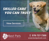 New Album of Best Pets Veterinary Hospital