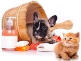 Profile Photos of Professional Pet Grooming Salon