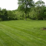 New Album of Central MO Turf Management Inc