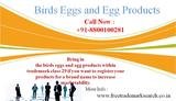 Bring in the birds eggs and egg products within trademark class 29 if you want to register your products for a brand name to increase marketability. Free Trademark Search S-191 C, 3rd floor,Manak Complex,School Block, Shakarpur 