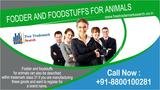 Fodder and foodstuffs for animals can also be described within trademark class 31 if you are manufacturing these goods and want to register for a brand name. Free Trademark Search S-191 C, 3rd floor,Manak Complex,School Block, Shakarpur 