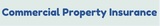 Commercial Property Insurance, Brooklyn