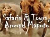 Profile Photos of Tours Maputo