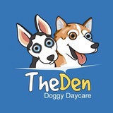 The Den Doggy Daycare, Burlington