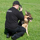 Profile Photos of ICS Protective Services