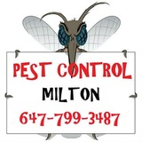  GTA Toronto Pest Control – Milton 1207 Leger Way 