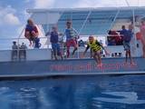 Profile Photos of Red Sail Cayman