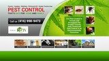 Profile Photos of Greenleaf Pest Control