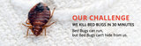 Profile Photos of Pest Control Services in Goa - A to Z Pest Solutions