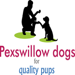 Pexswillow Dogs, Macclesfield,
